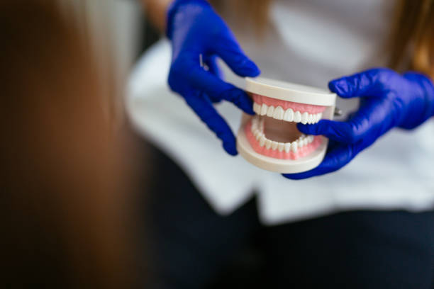Reliable Shiner, TX Holistic Dental Care Services Solutions
